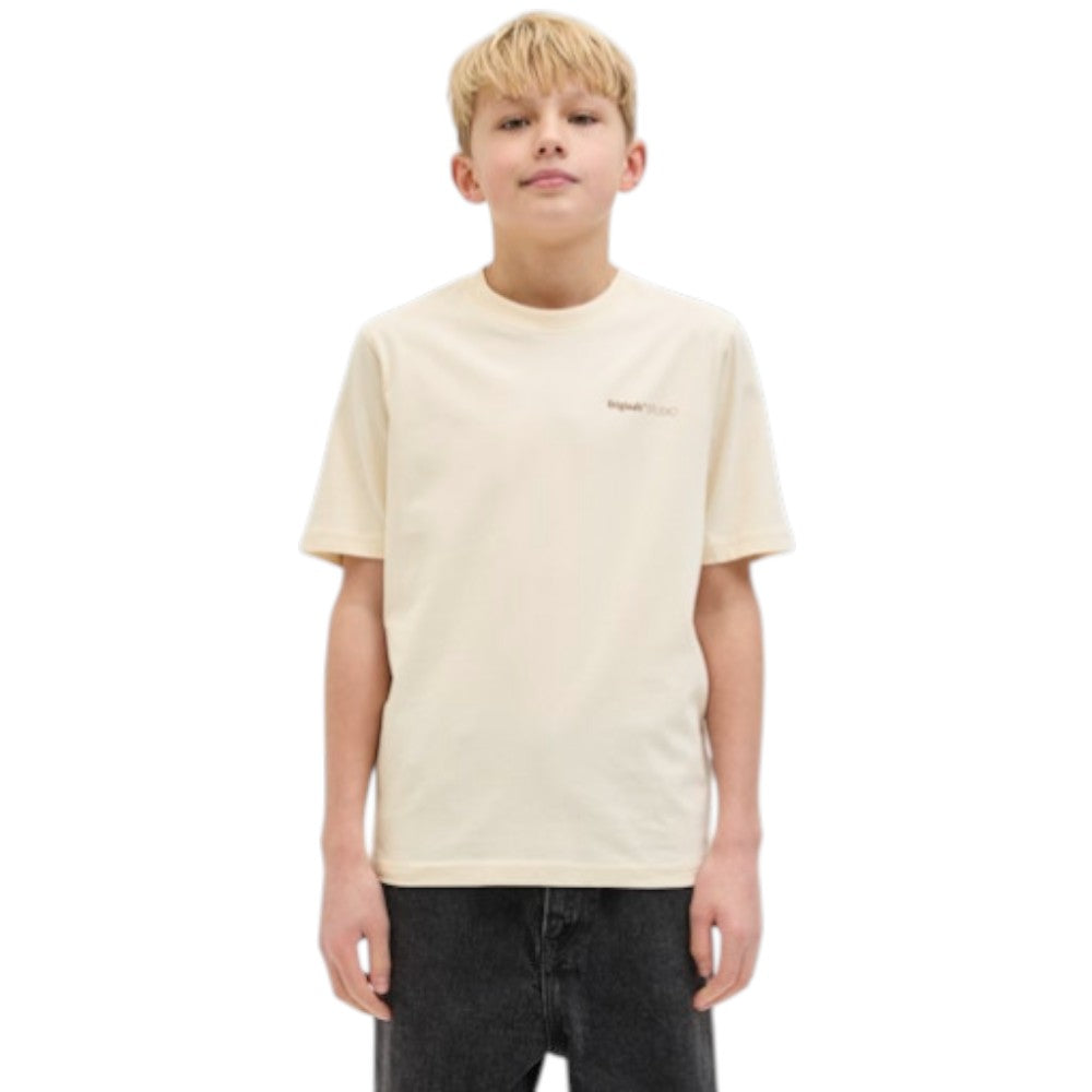 T-Shirt JACK&JONES Ragazzo Black stampa posteriore - 12274929